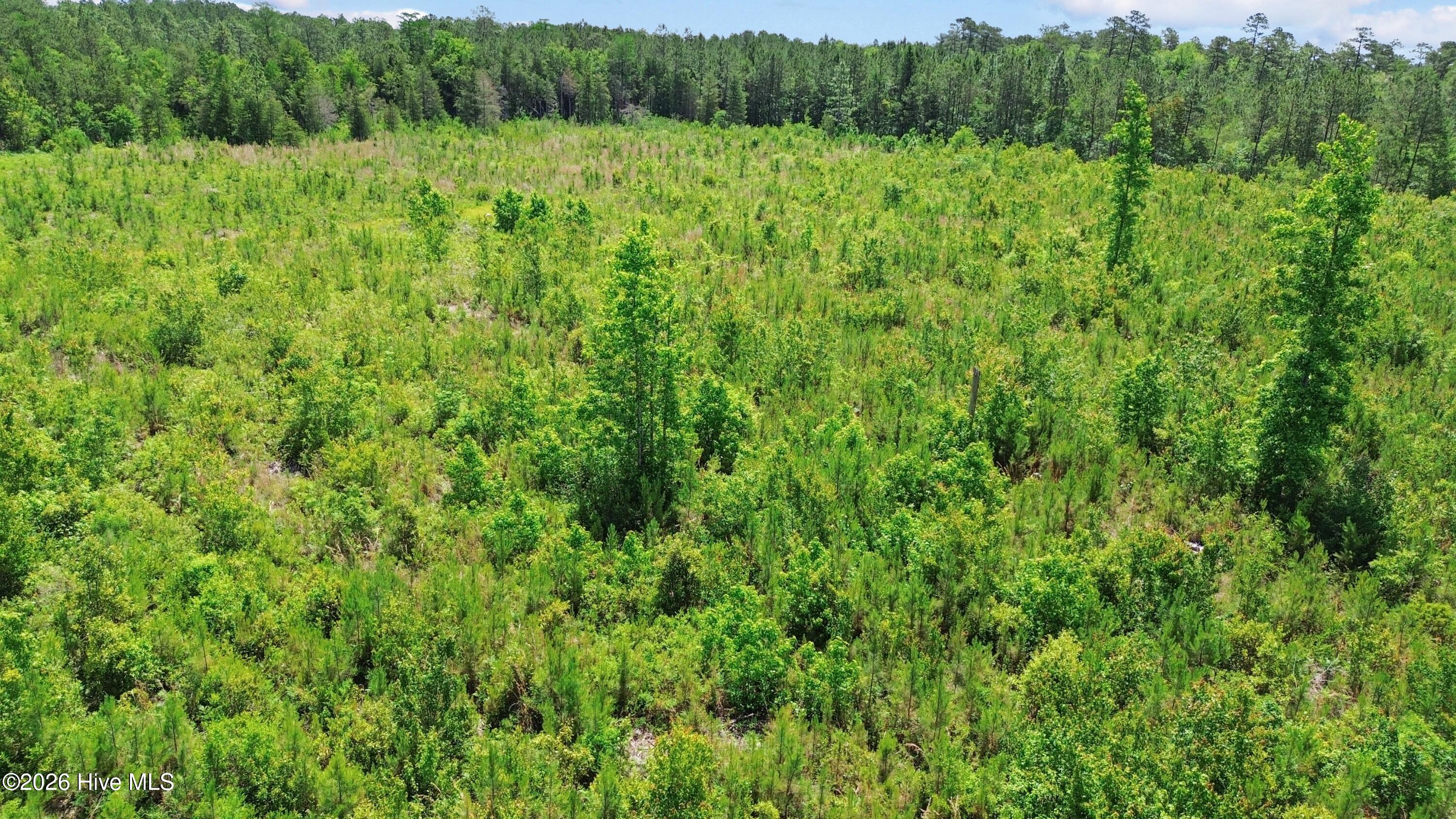 5840 Green Swamp Road Northwest Ash, NC 28420 - Photo 61 of 64 KS_May22 - 55