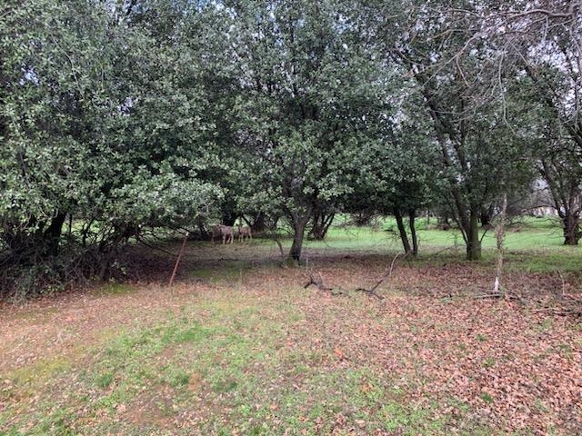 Lot A Walnut Street Red Bluff, CA 96080 - Photo 5 of 19