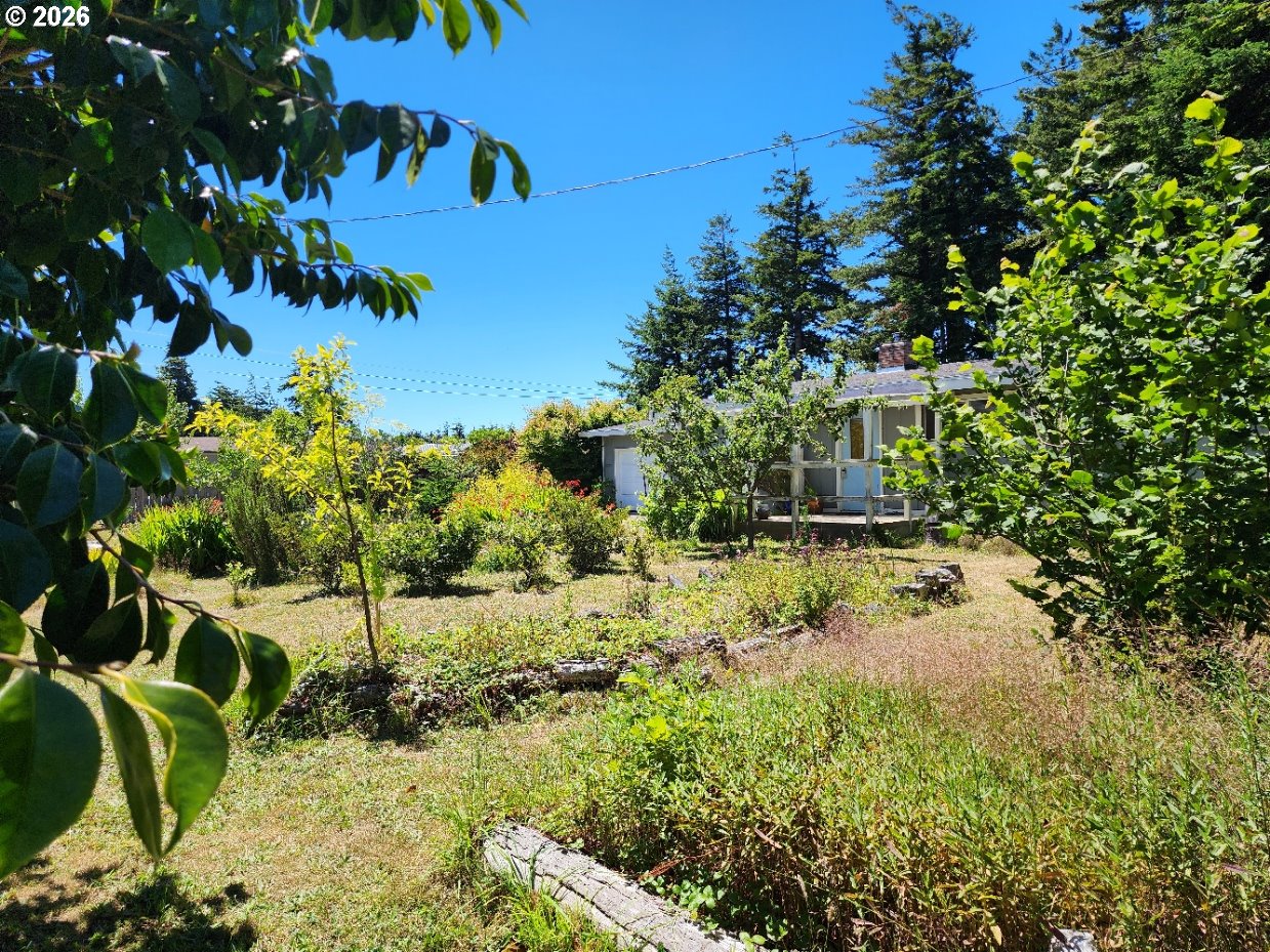 2537 Port Orford Loop Road Port Orford, OR 97465 - Photo 28 of 39 Front Yard