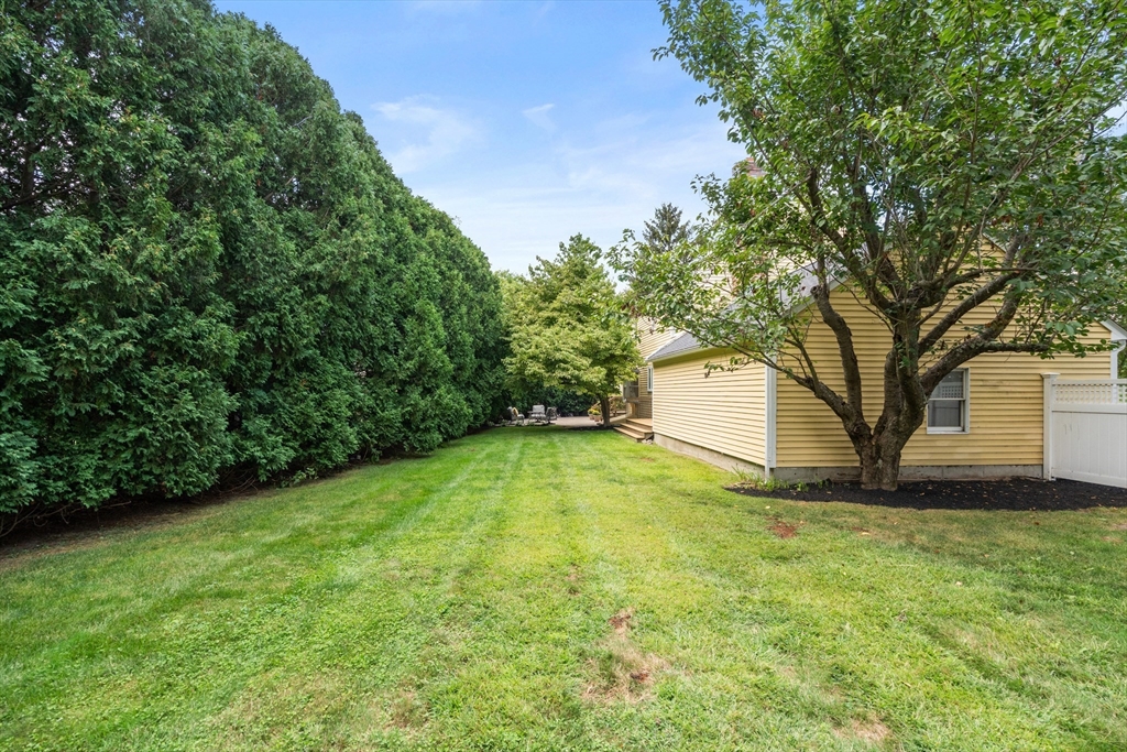 11 East Evergreen Road Natick, MA 01760 - Photo 26 of 30 a view of a backyard with large trees