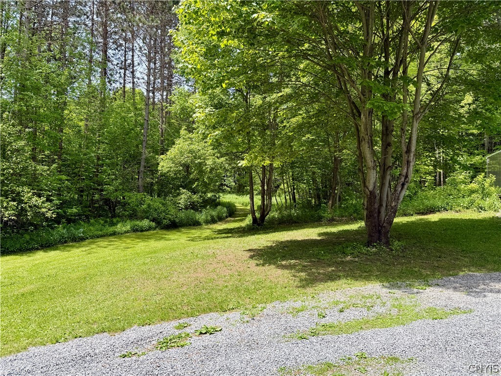 6229 Isenecker Road Leyden, NY 13309 - Photo 29 of 44 Path toward 2nd parcel