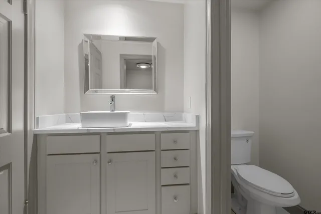 a bathroom with a toilet a sink and mirror