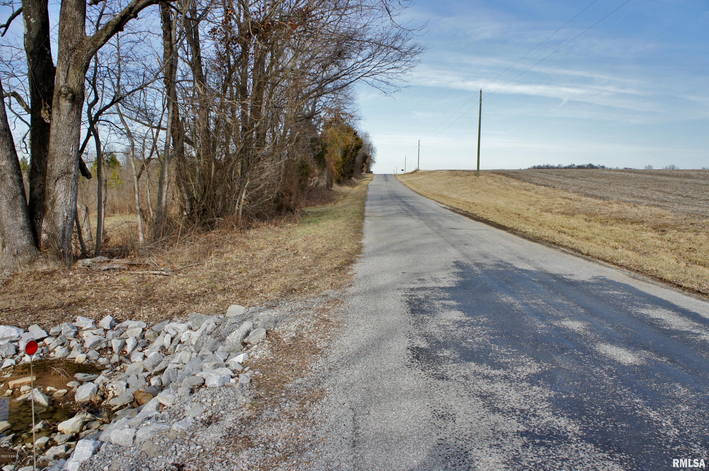 113 River Road Golconda, IL 62938 - Photo 11 of 50 Gallery Image 11