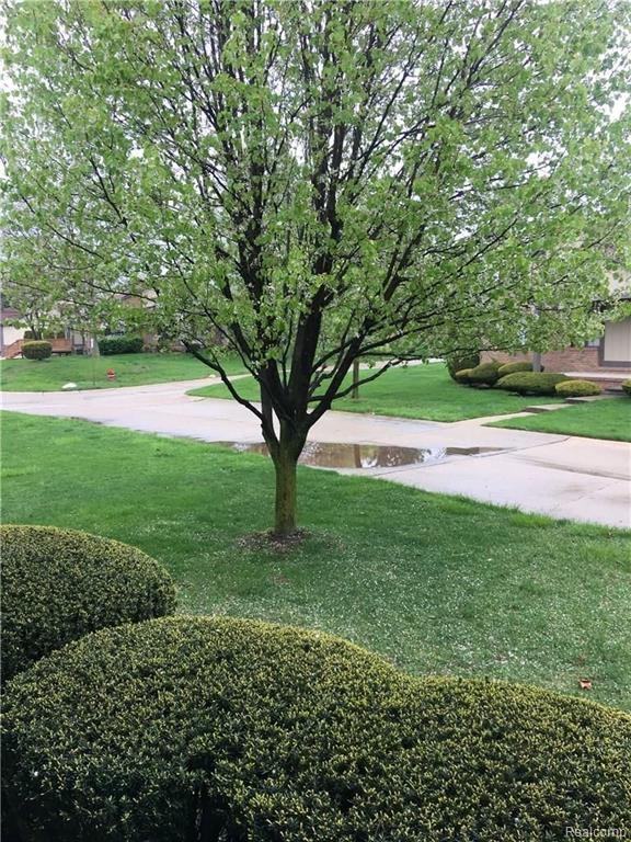 232 Meadow Ln Circle Rochester Hills, MI 48307 - Photo 16 of 20