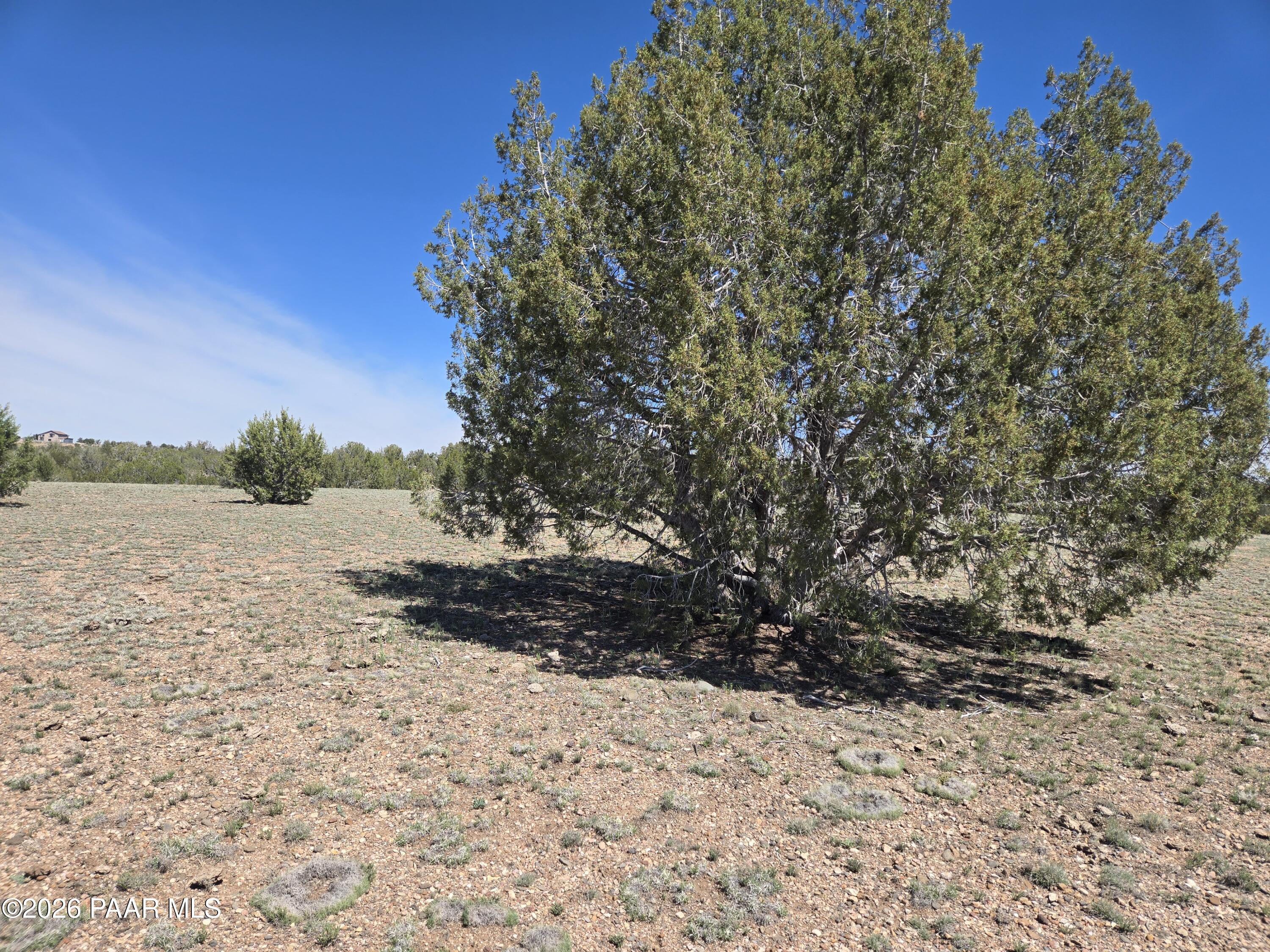 390 Haywire Road Ash Fork, AZ 86320 - Photo 8 of 15 20260323_123015