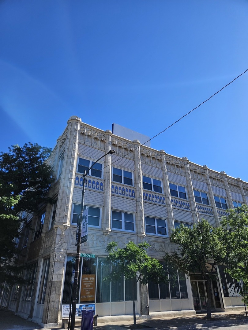 809 North Racine Avenue, Unit 203 Chicago, IL 60642 - Photo 1 of 22