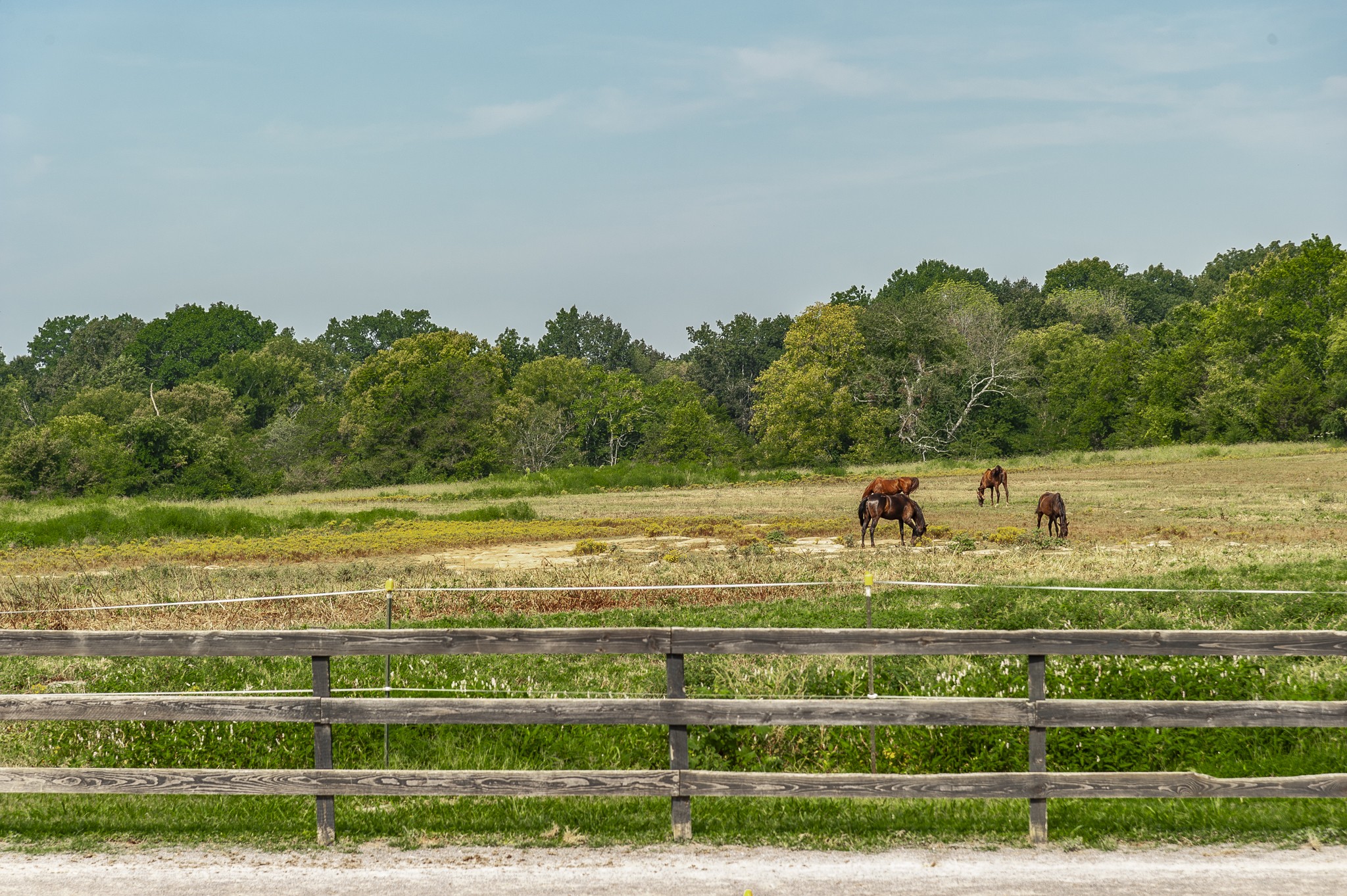 6073 Maddox Road Mount Juliet, TN 37122 - Photo 29 of 70 Gallery Image 29