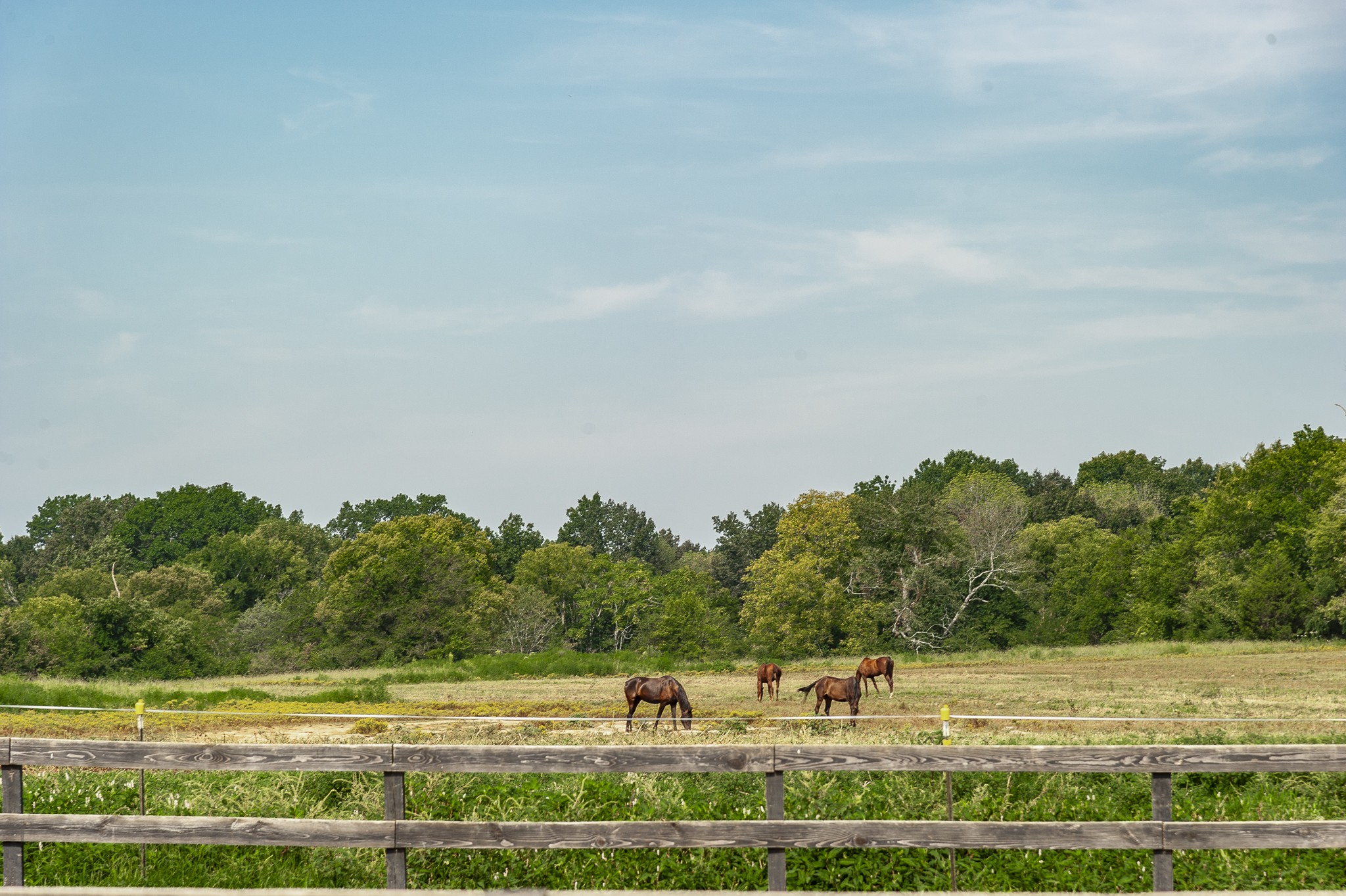 6073 Maddox Road Mount Juliet, TN 37122 - Photo 4 of 70 Gallery Image 4