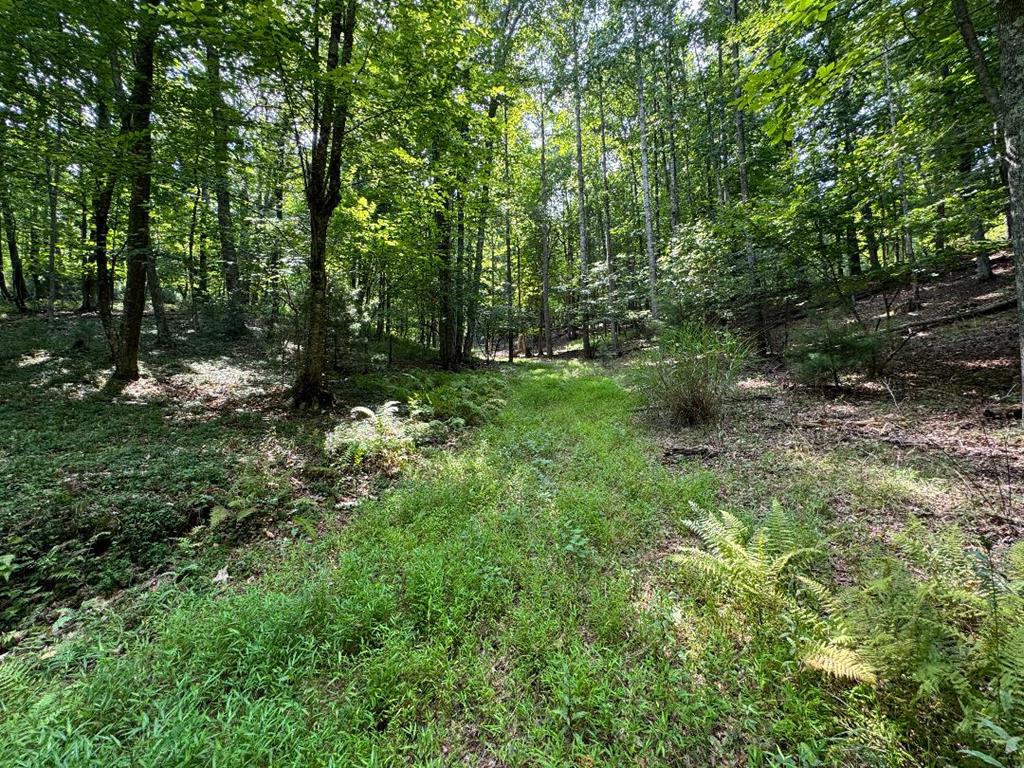 Tbd High Point Road Woodlawn, VA 24381 - Photo 14 of 18 Gallery Image 14