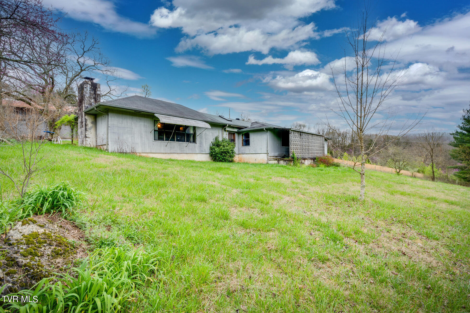 222 Cold Springs Road Blountville, TN 37617 - Photo 2 of 51 002