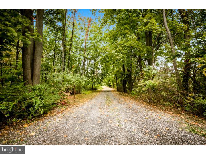 3741 Lawrenceville Road Princeton, NJ 08540 - Photo 2 of 25 Driveway