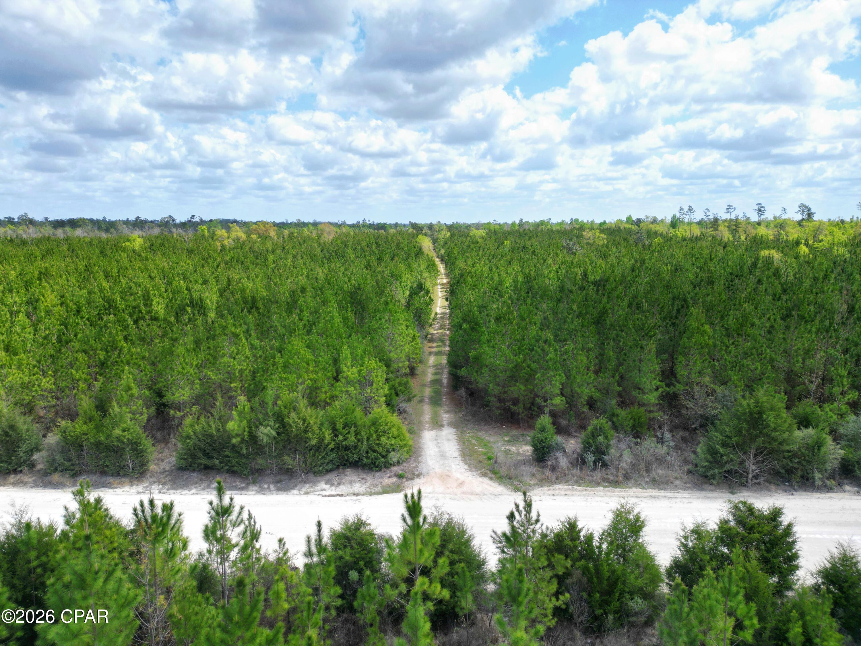 Tbd Northwest Melvin Road Clarksville, FL 32430 - Photo 5 of 7