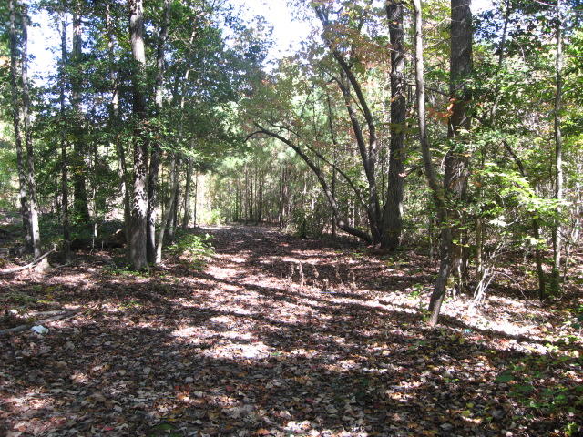 Lot 2 Gilchrist Road Cameron, NC 28326 - Photo 1 of 5 IMG_4784