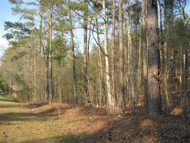 Lot 2 Gilchrist Road Cameron, NC 28326 - Photo 2 of 5 Additional Photo