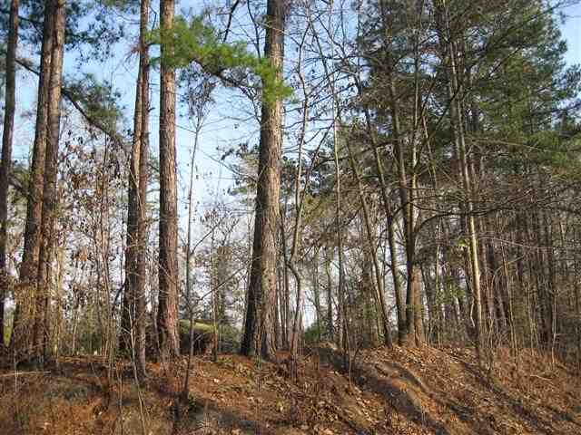 Lot 2 Gilchrist Road Cameron, NC 28326 - Photo 3 of 5 Additional Photo