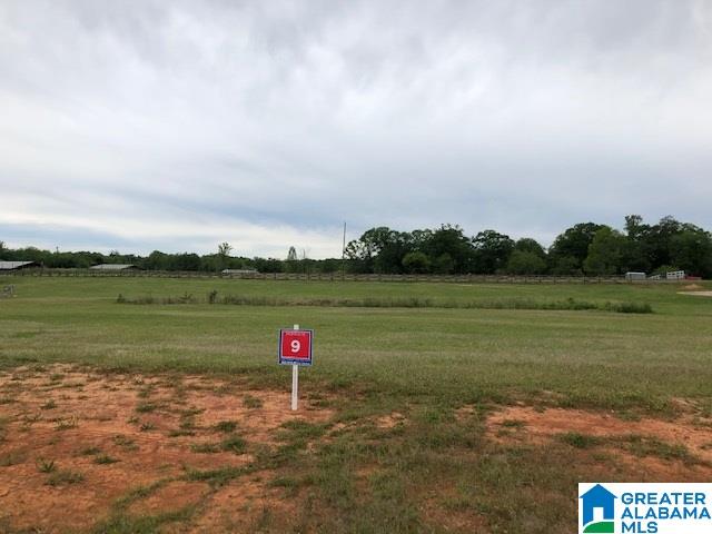 113 Morning Dove Way, Unit 9 Vincent, AL 35178 - Photo 2 of 6