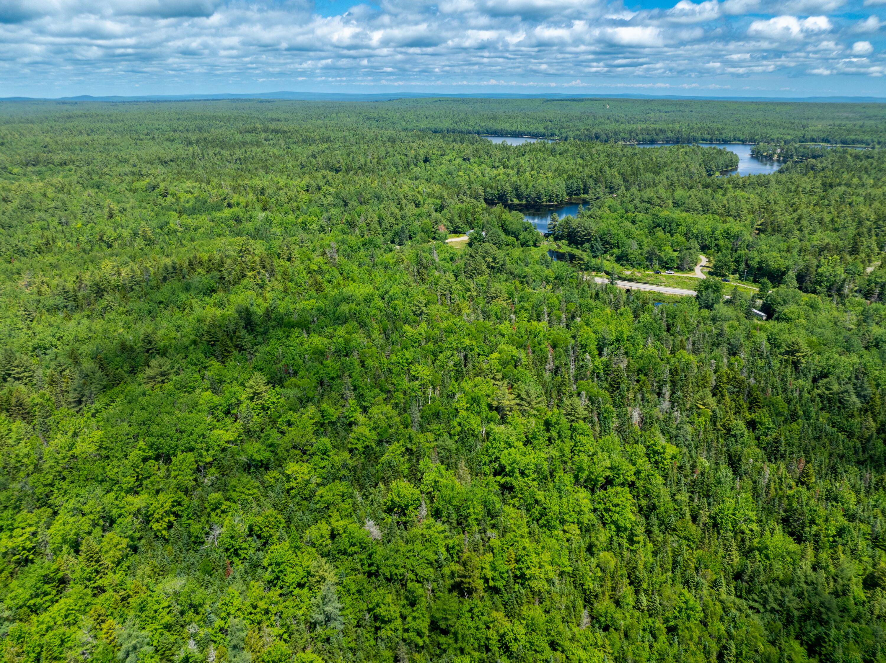 M4-l29 Northfield Road Machias, ME 04654 - Photo 12 of 23 42 Acre Lot Marshfield (8 of 32)