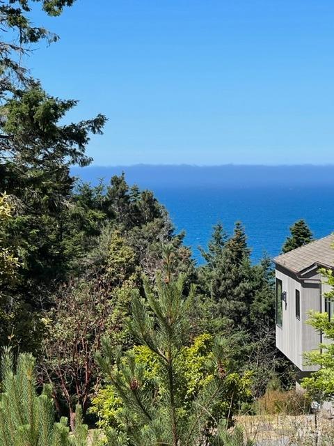 36018 Sea Ridge Road The Sea Ranch, CA 95497 - Photo 9 of 17