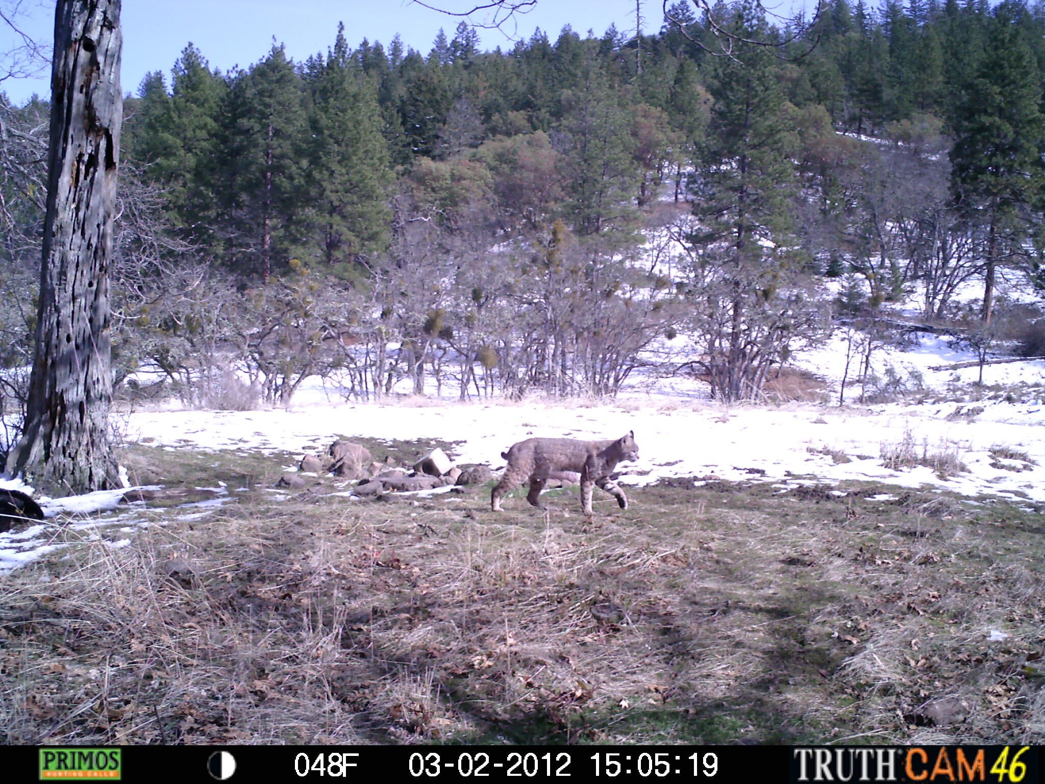 540 North Valley View Road Ashland, OR 97520 - Photo 17 of 19 AshlandLand