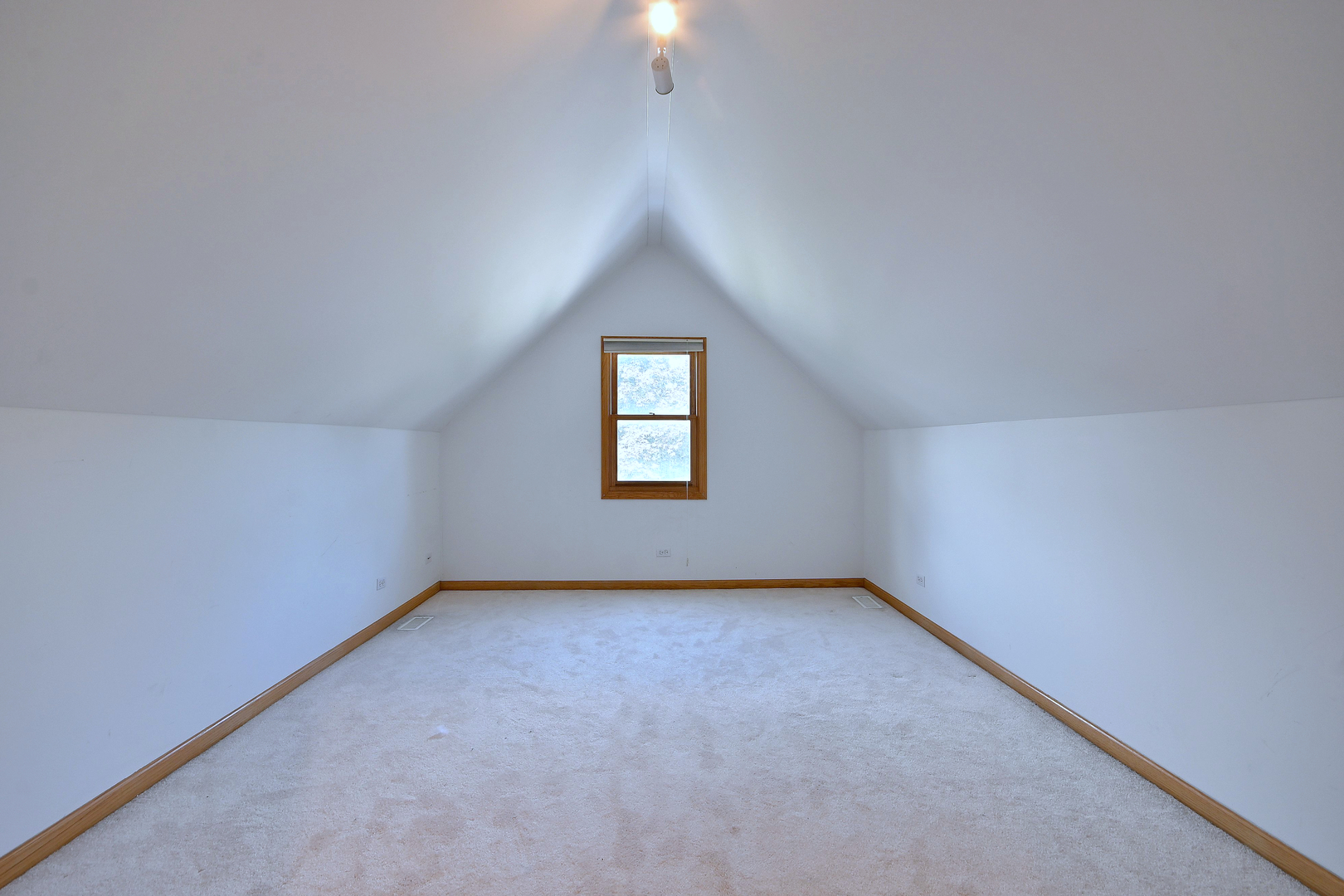 753 North Willow Road Elmhurst, IL 60126 - Photo 18 of 29