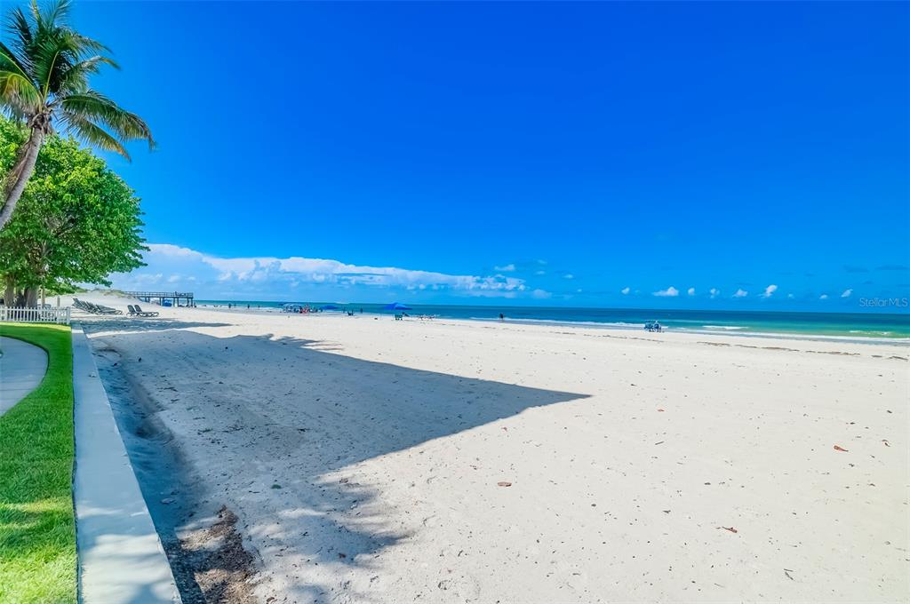 17580 Gulf Boulevard, Unit 412 Redington Shores, FL 33708 - Photo 53 of 67 a view of an ocean beach