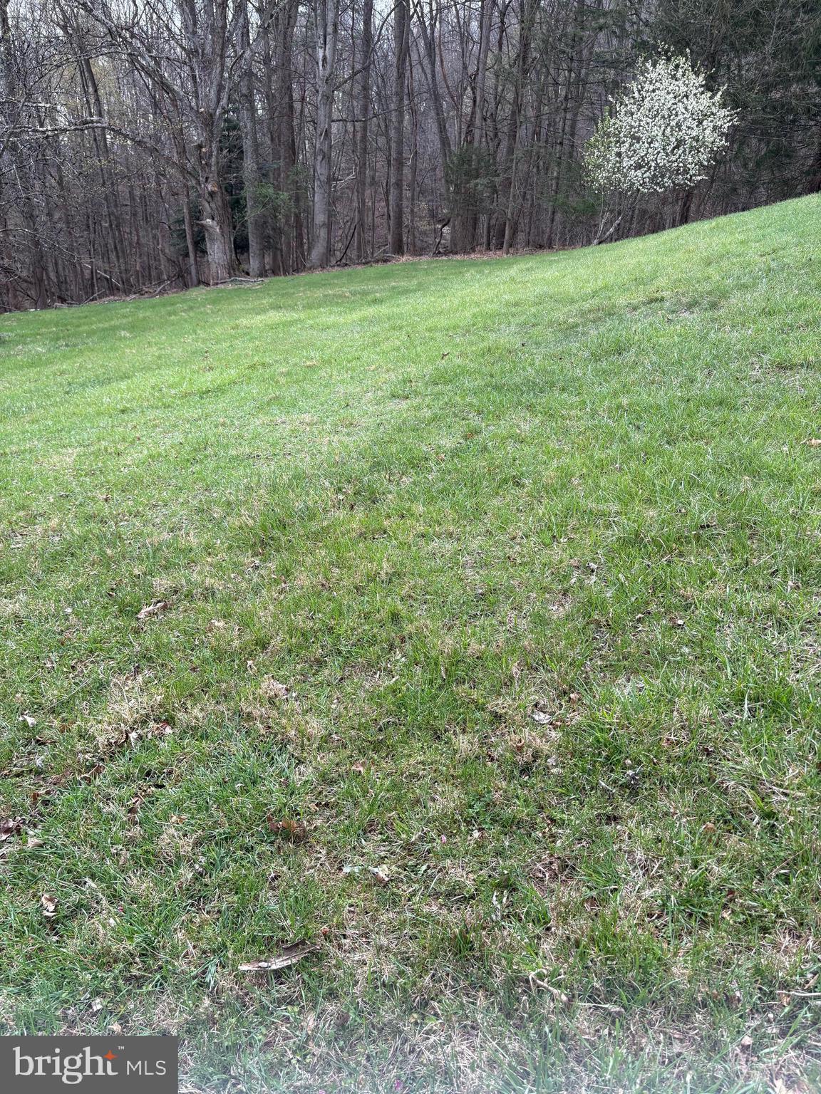 4309 Old Fields Road Old Fields, WV 26845 - Photo 28 of 40
