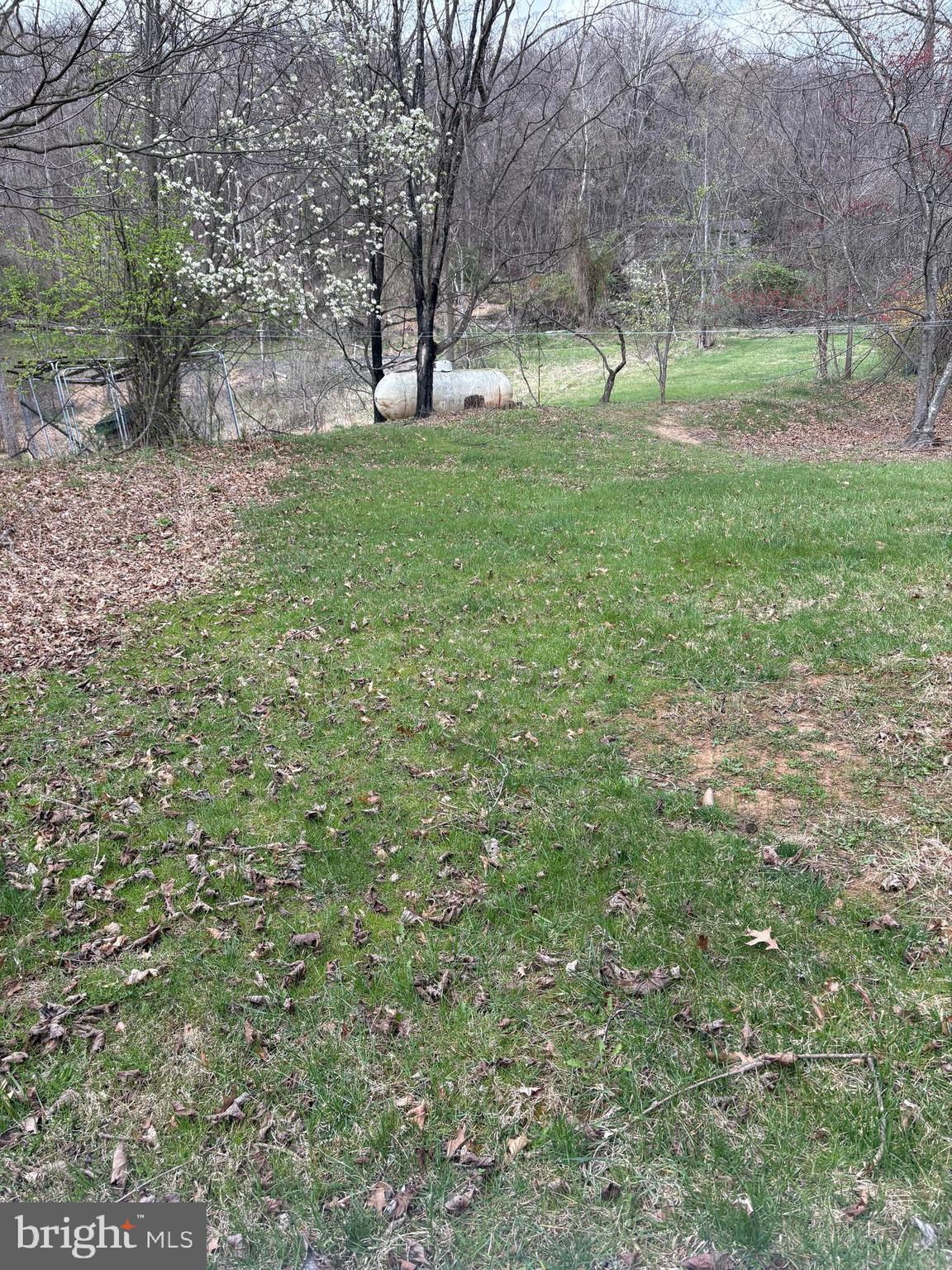 4309 Old Fields Road Old Fields, WV 26845 - Photo 10 of 23