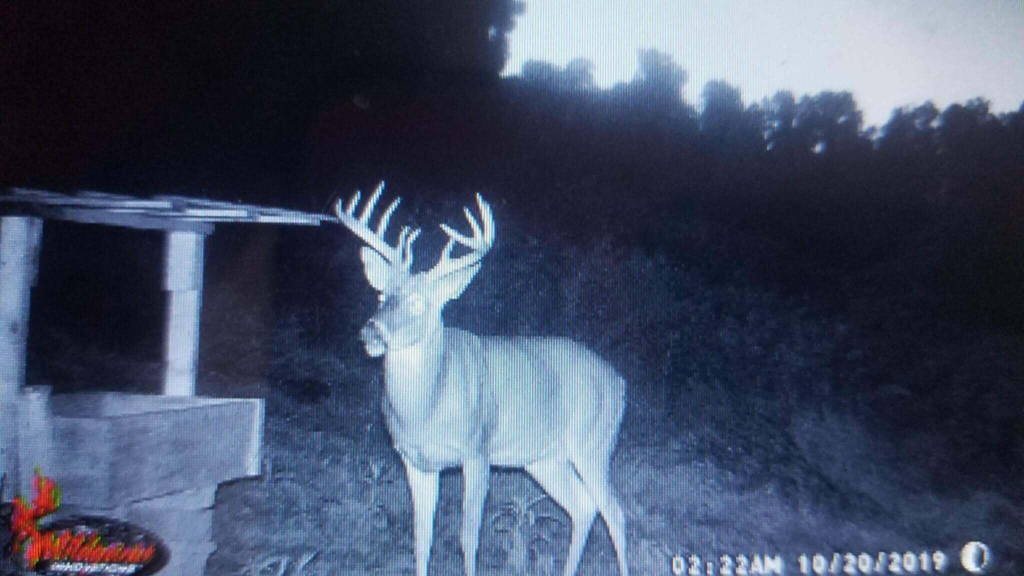 404 Lower Nickell Branch Road Hazel Green, KY 41332 - Photo 60 of 89 att.-lKm6Qi8Nll5PJDcHfrnFGYWHVMVJ1I_kdxD