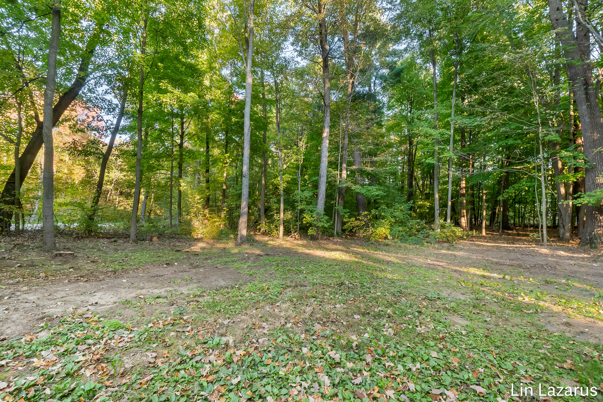 8268 Bradley Road Belding, MI 48809 - Photo 23 of 28 DSC_5836