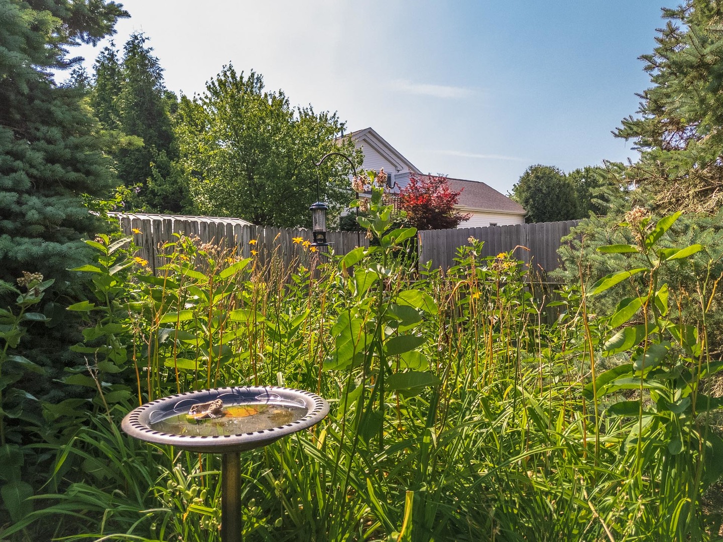 2805 Polo Road Bloomington, IL 61704 - Photo 8 of 51 Gallery Image 8