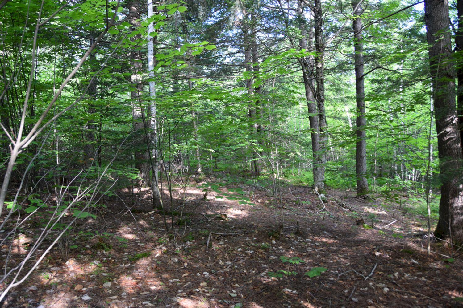 M7-l1-2 Pine Bluff Road Embden, ME 04958 - Photo 7 of 7 DSC_0187