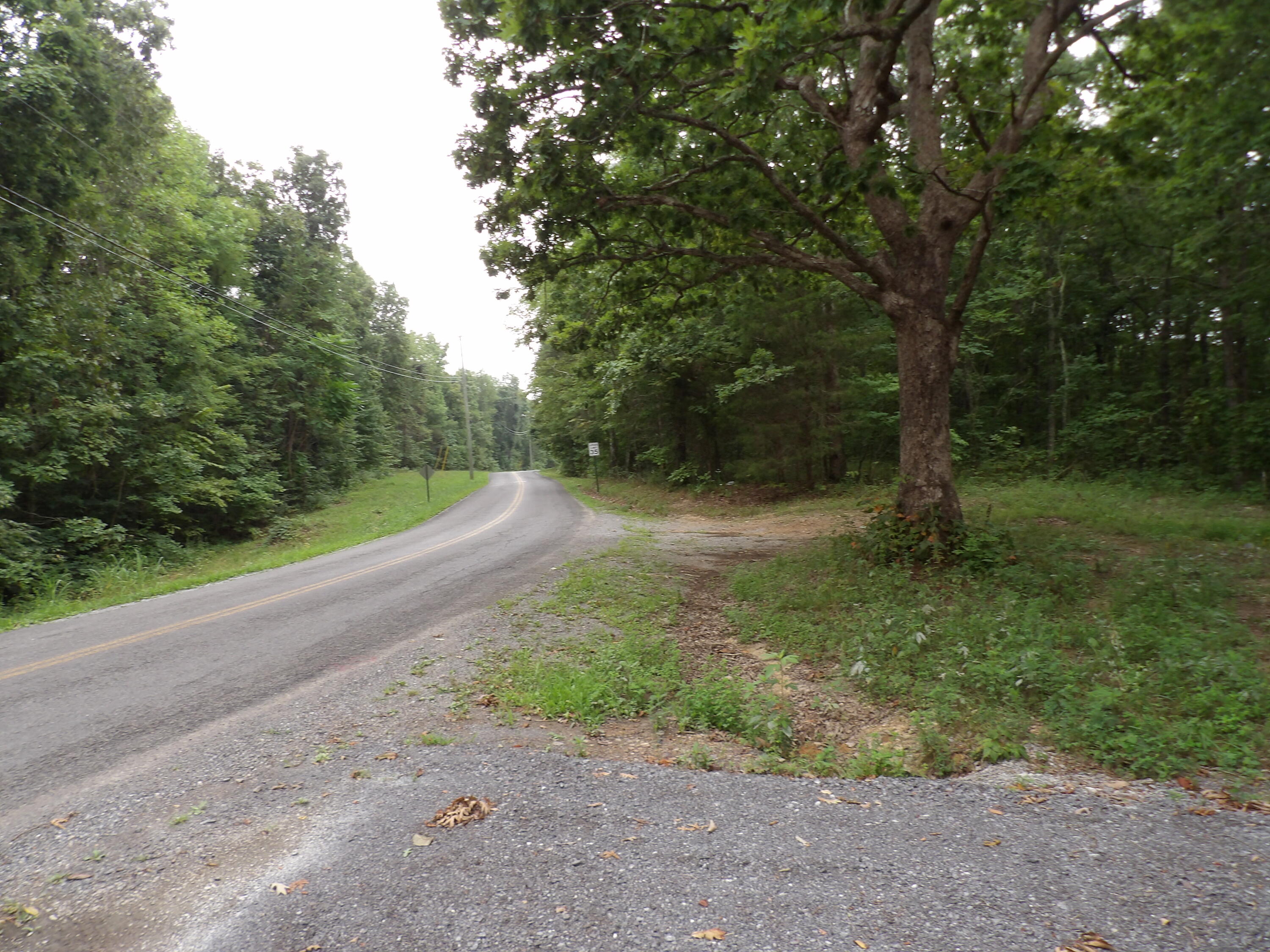 2 Porch Rock Road Pikeville, TN 37367 - Photo 1 of 18 100_0630