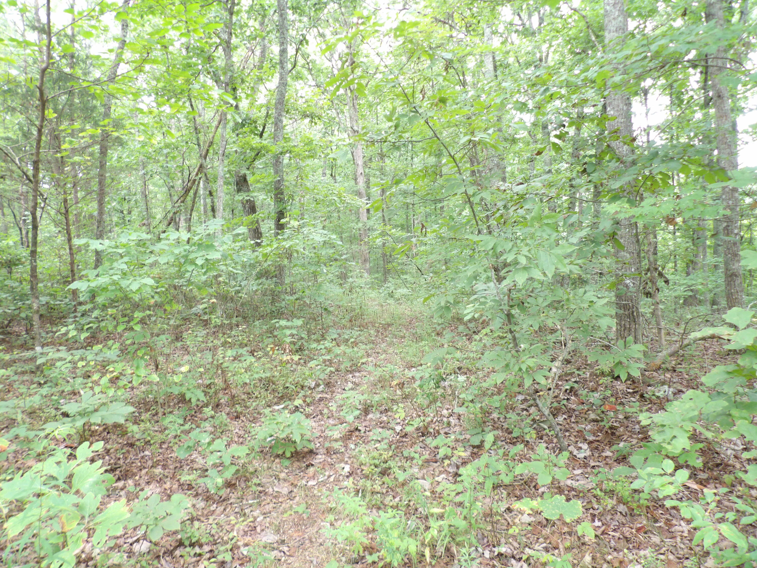 2 Porch Rock Road Pikeville, TN 37367 - Photo 11 of 18 100_0641