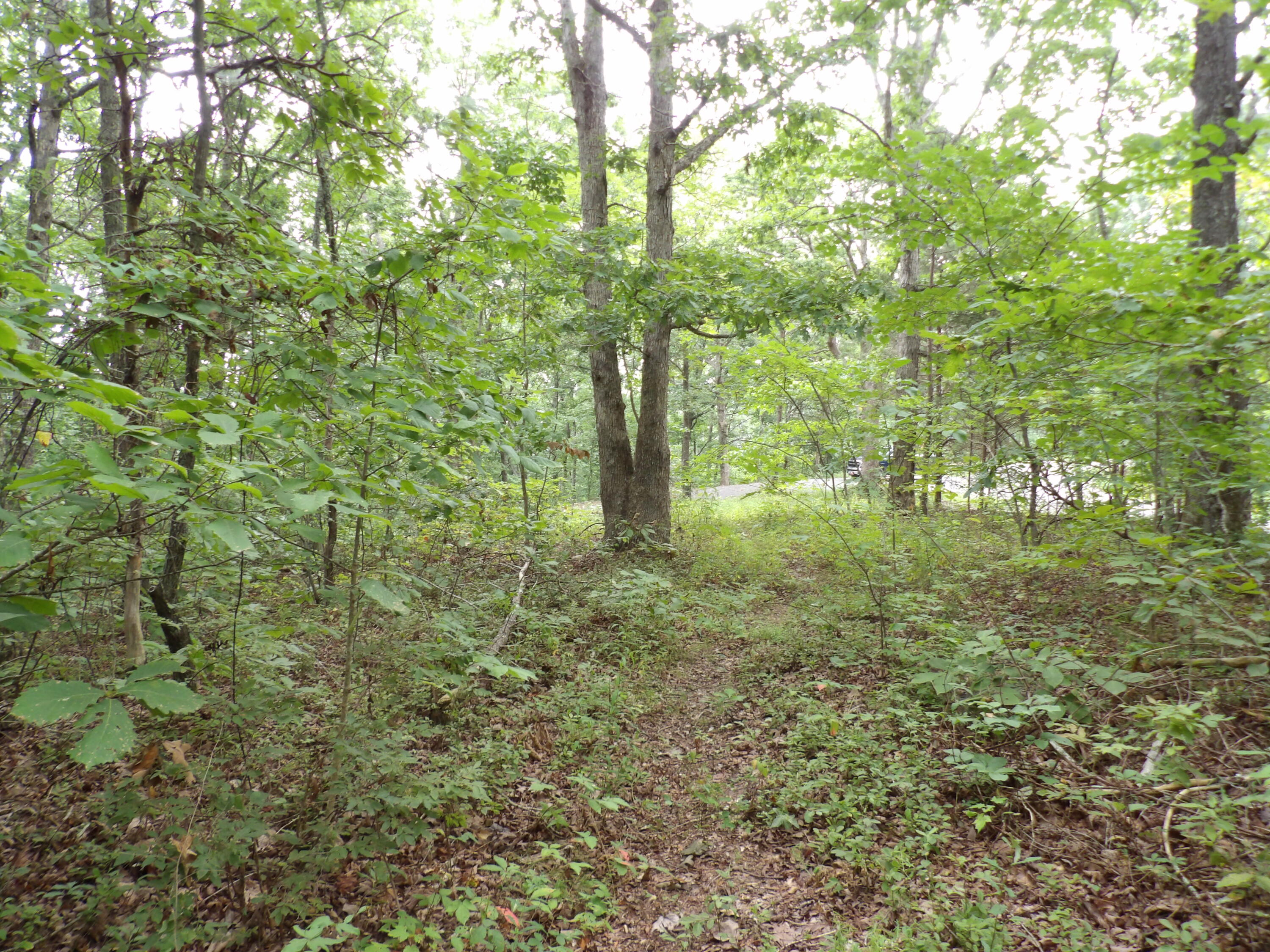 2 Porch Rock Road Pikeville, TN 37367 - Photo 13 of 18 100_0643