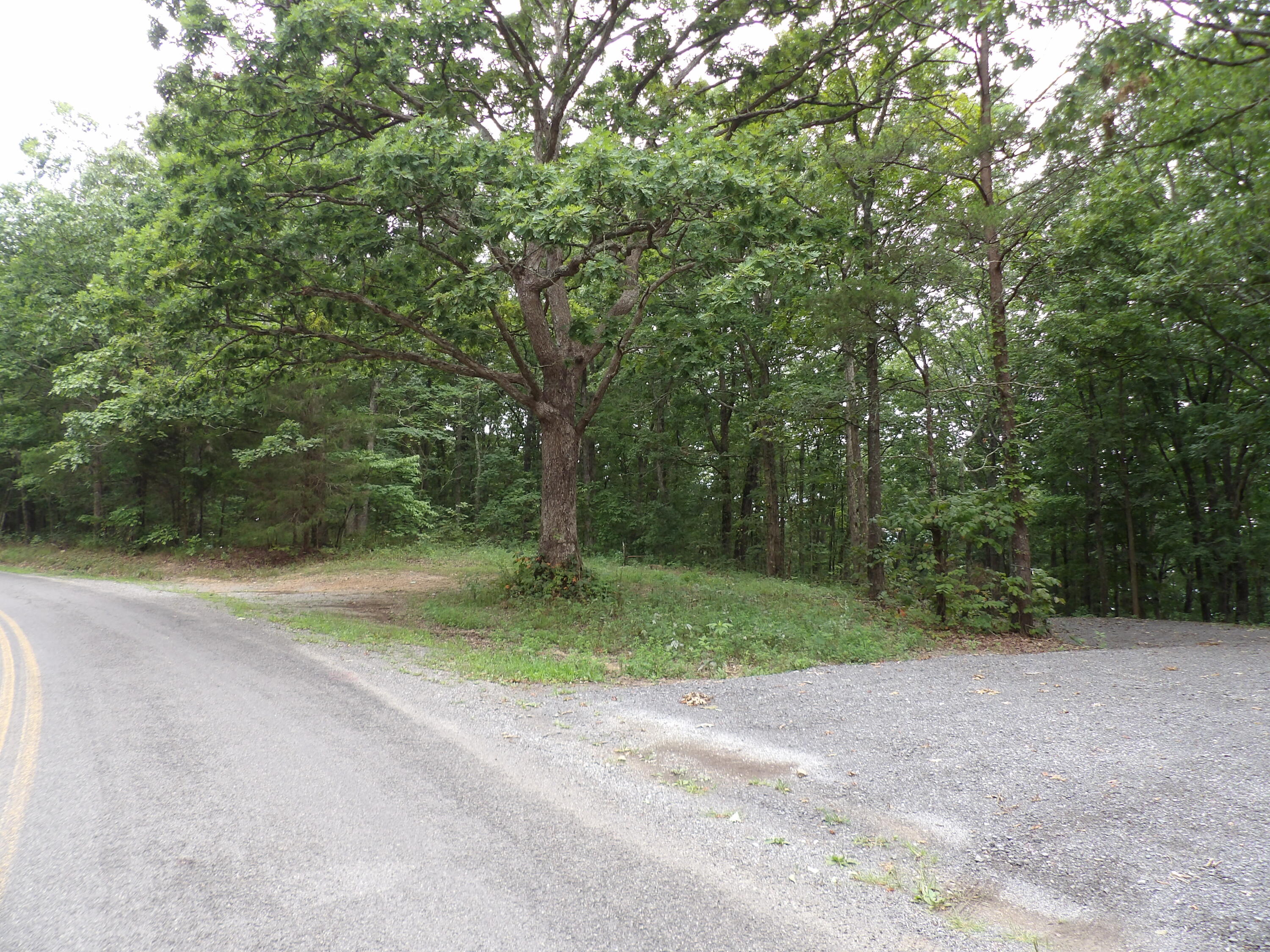 2 Porch Rock Road Pikeville, TN 37367 - Photo 16 of 18 100_0646