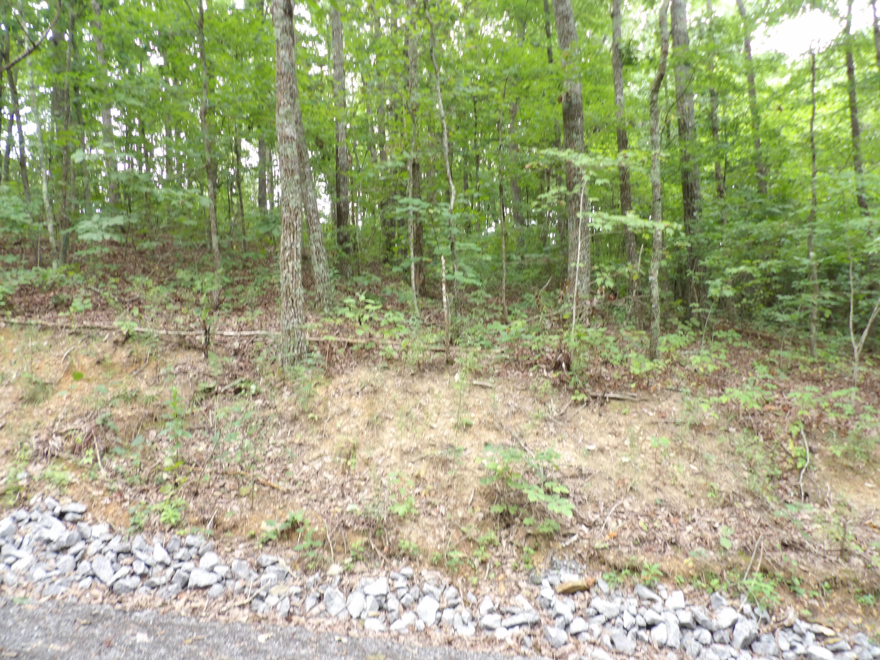 2 Porch Rock Road Pikeville, TN 37367 - Photo 18 of 18 100_0652