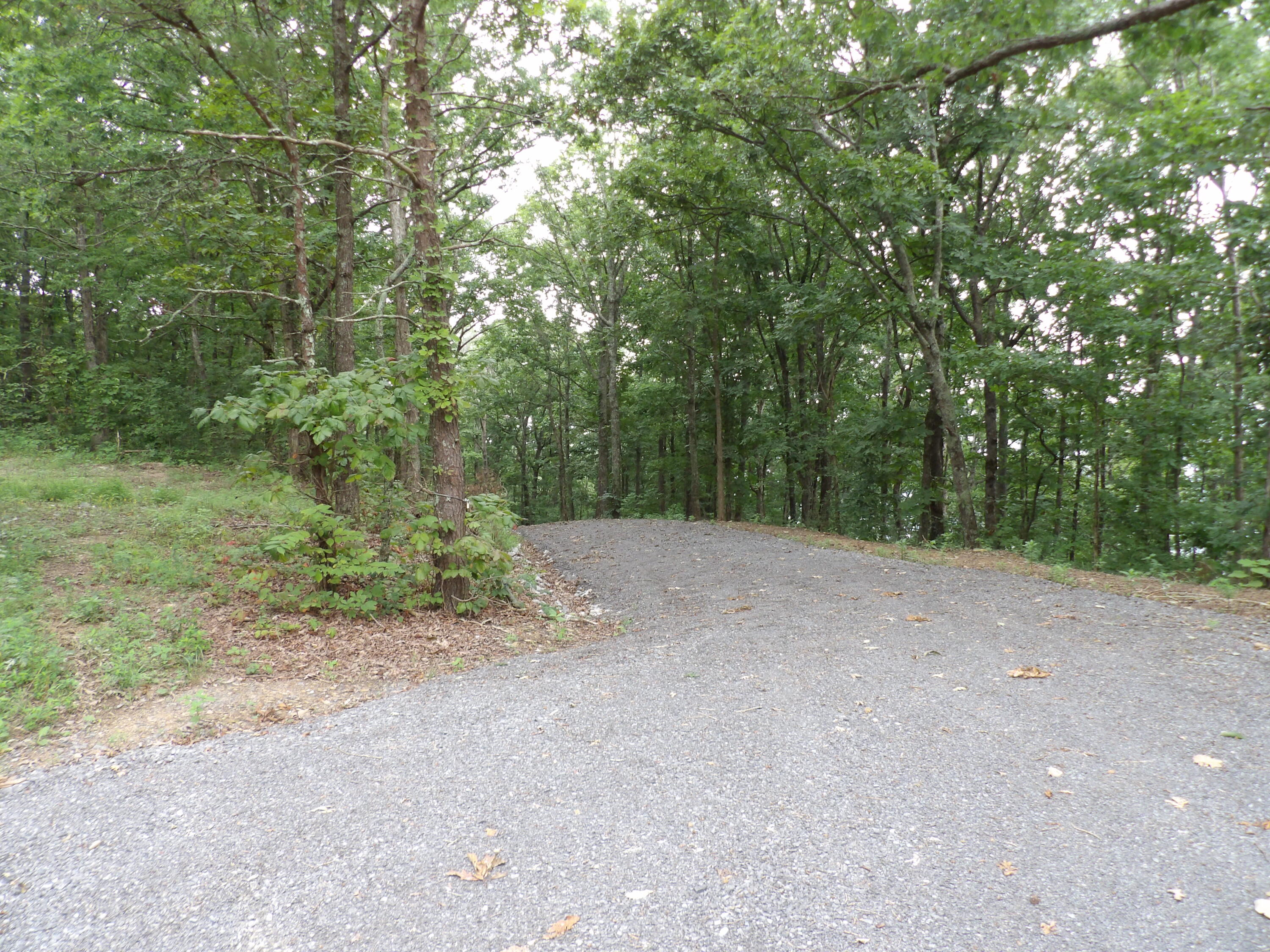 2 Porch Rock Road Pikeville, TN 37367 - Photo 3 of 18 100_0631