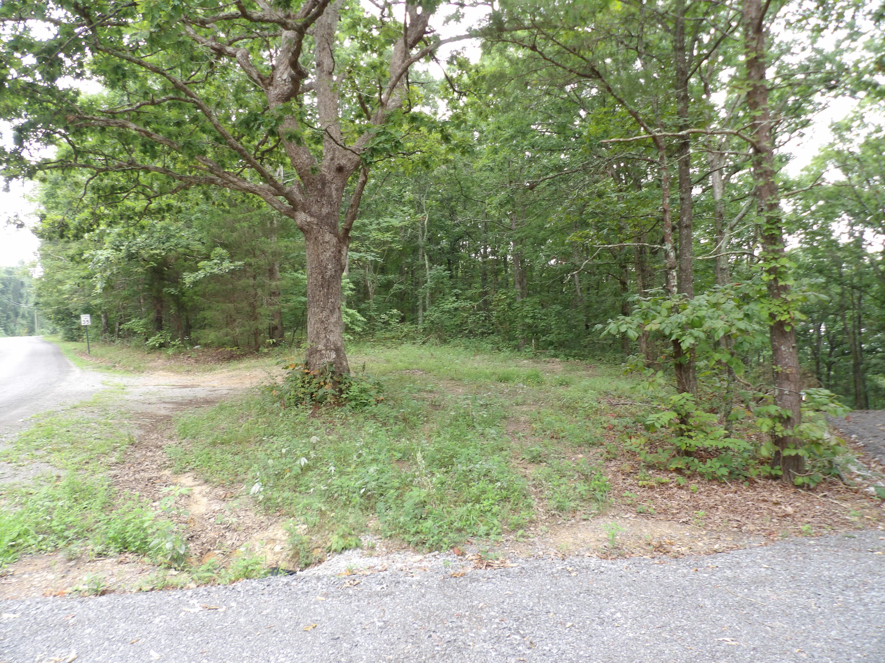 2 Porch Rock Road Pikeville, TN 37367 - Photo 4 of 18 100_0632