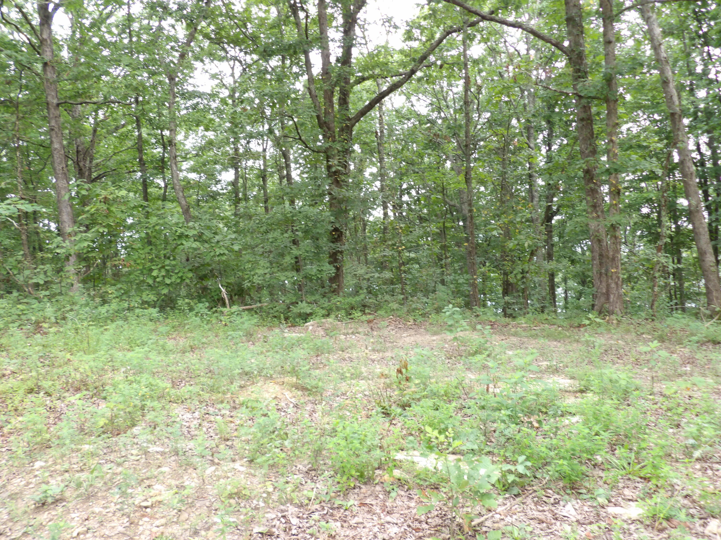 2 Porch Rock Road Pikeville, TN 37367 - Photo 5 of 18 100_0635