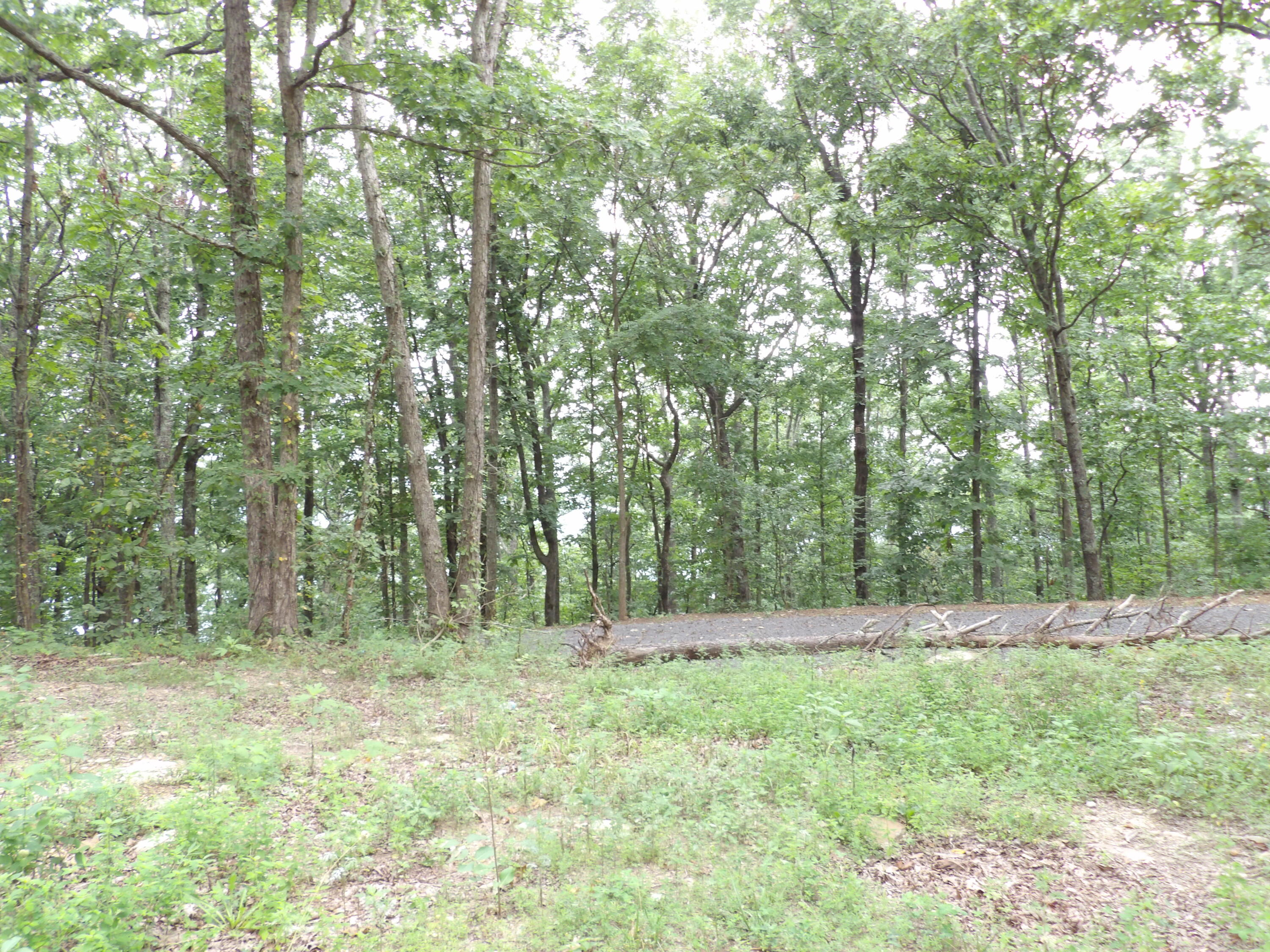 2 Porch Rock Road Pikeville, TN 37367 - Photo 6 of 18 100_0636