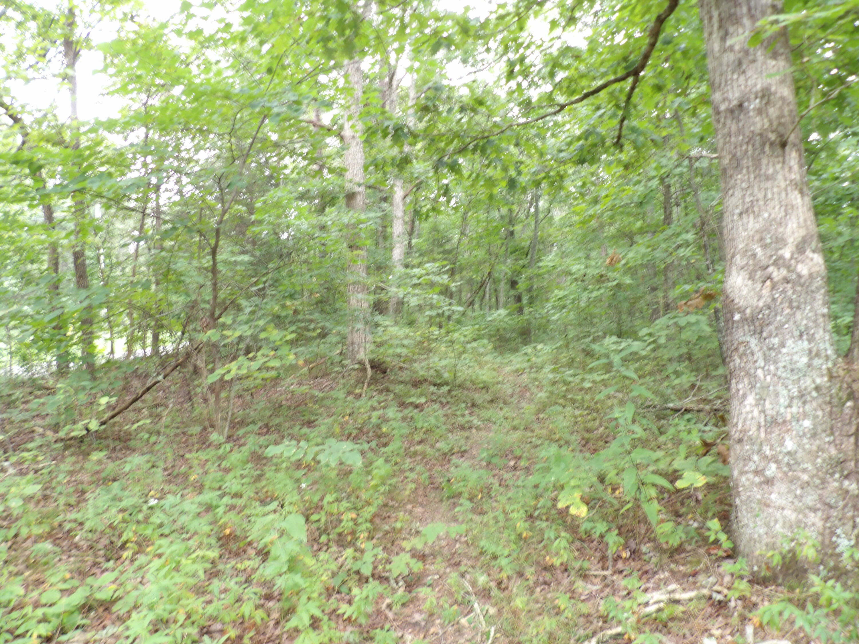 2 Porch Rock Road Pikeville, TN 37367 - Photo 7 of 18 100_0637