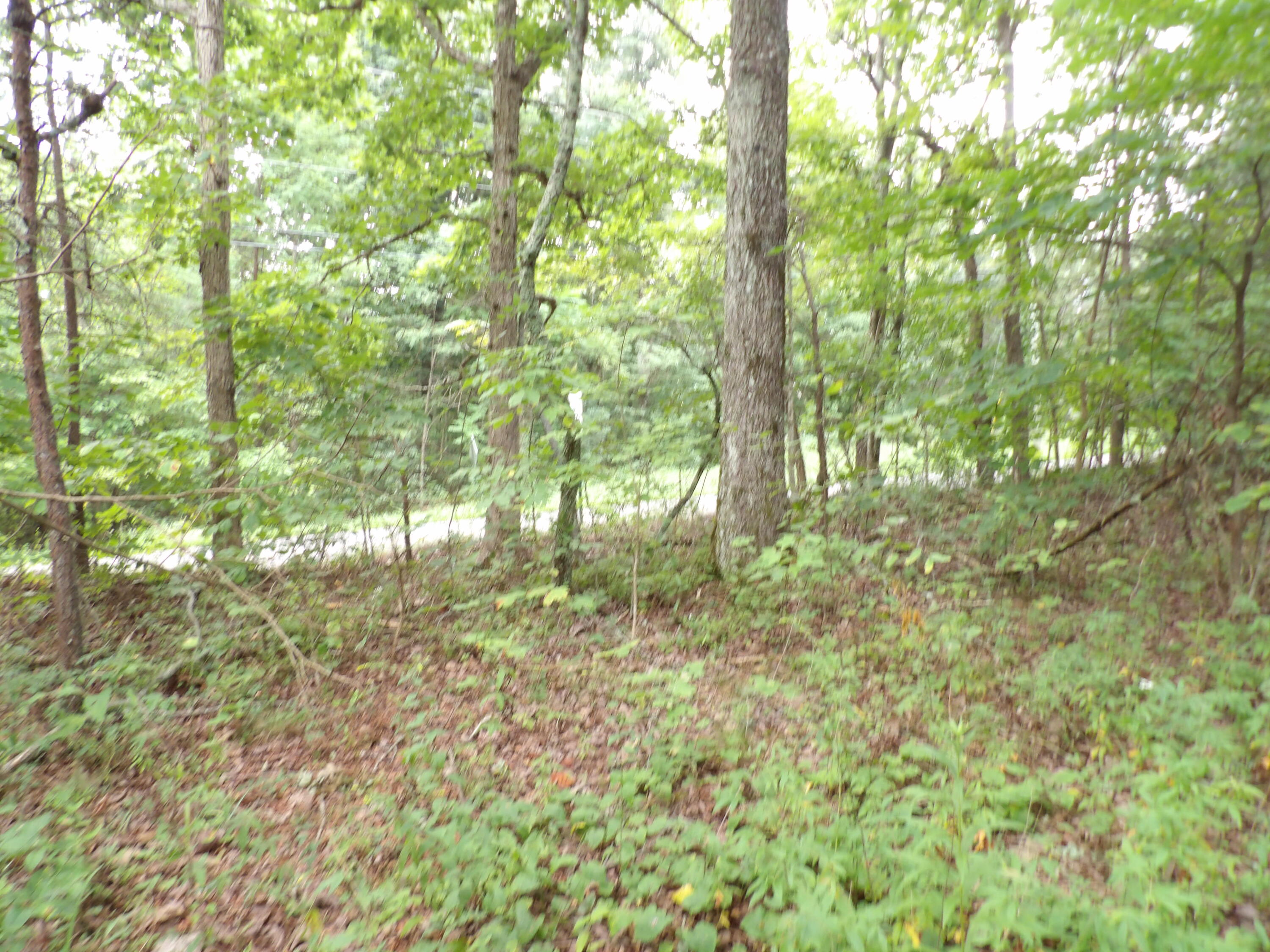 2 Porch Rock Road Pikeville, TN 37367 - Photo 9 of 18 100_0639
