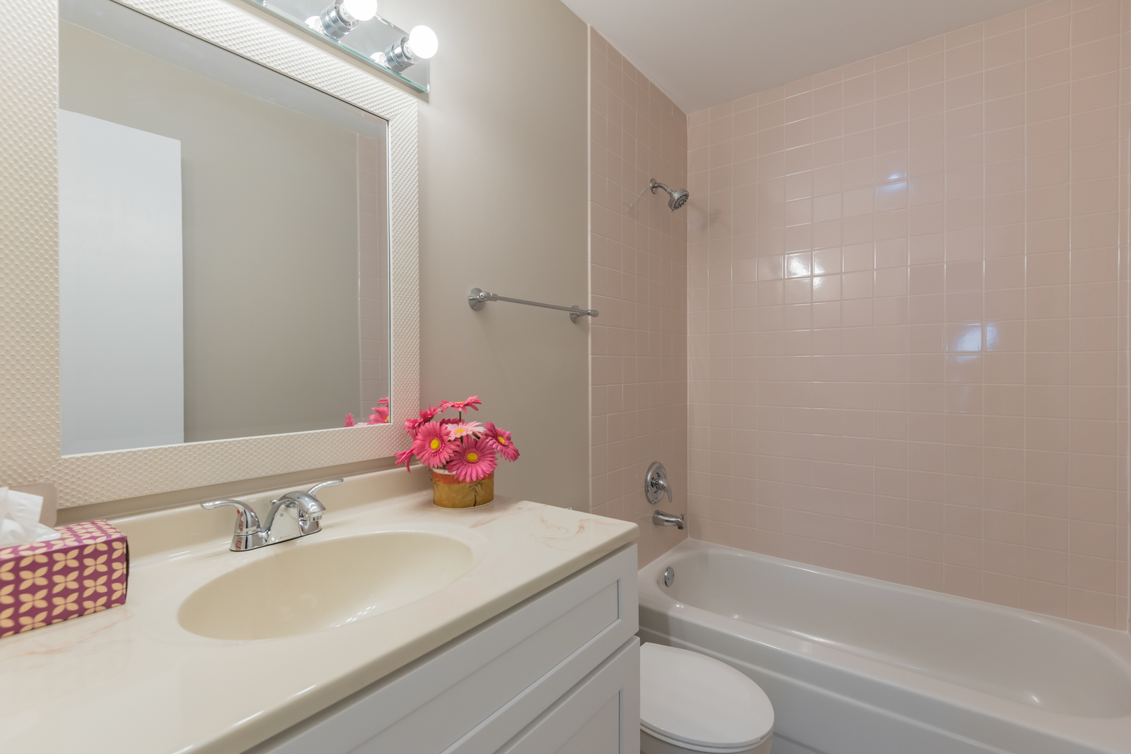 381 Park Ridge Lane, Unit C Aurora, IL 60504 - Photo 12 of 20