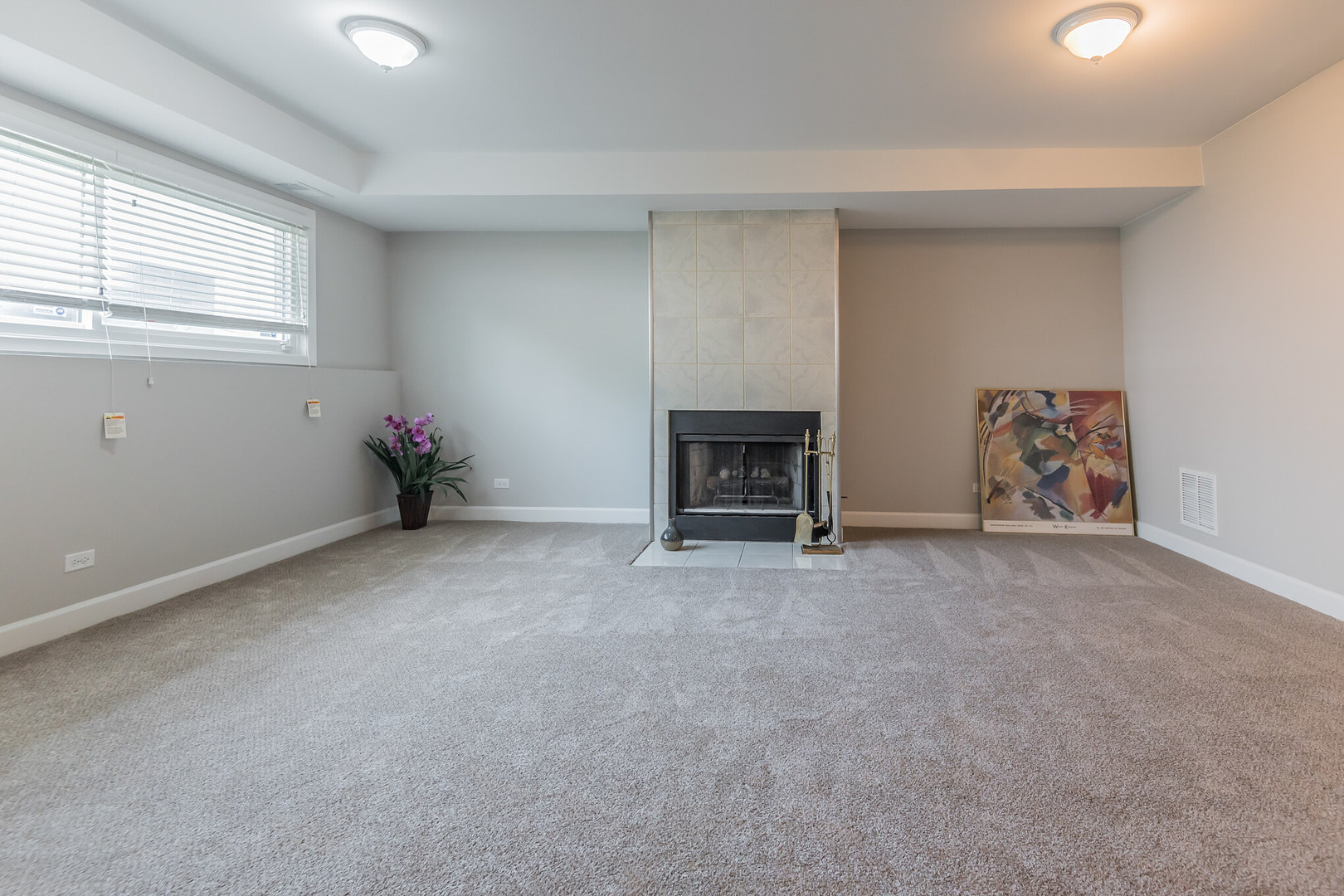 381 Park Ridge Lane, Unit C Aurora, IL 60504 - Photo 17 of 20