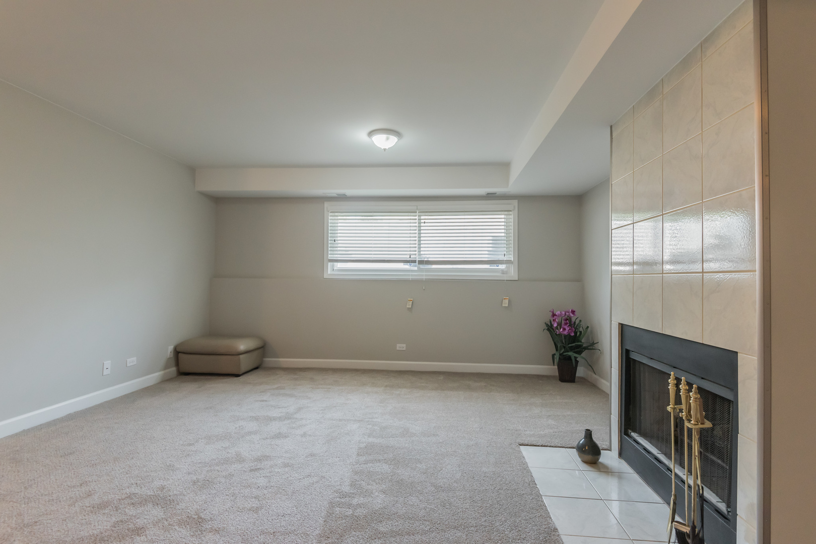 381 Park Ridge Lane, Unit C Aurora, IL 60504 - Photo 19 of 20