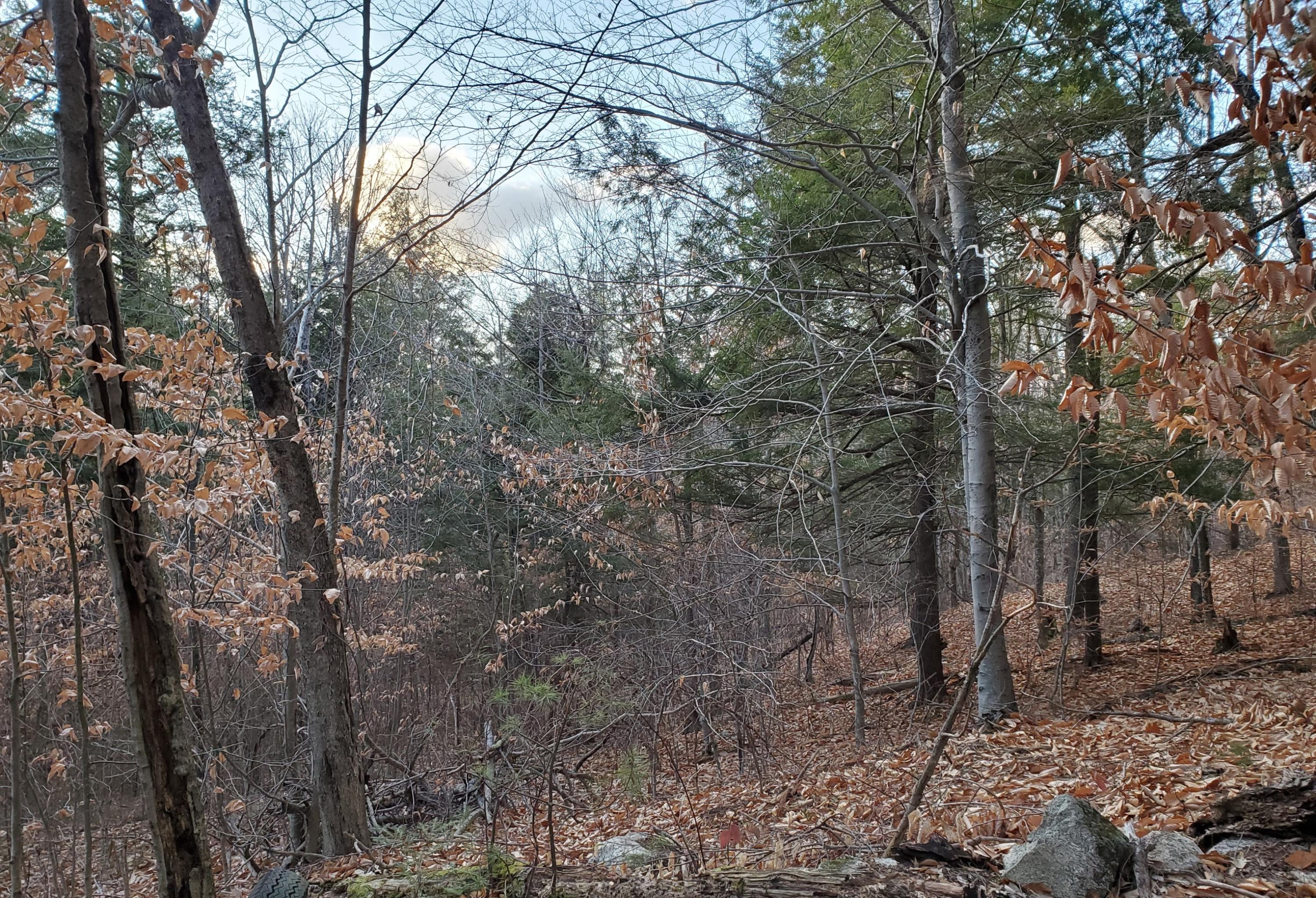 0 Fire Lane Harrison, ME 04040 - Photo 5 of 5 Barrett Sweden