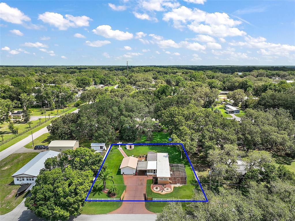 9935 Southeast 168th Place Summerfield, FL 34491 - Photo 6 of 25 a view of yard with ocean view
