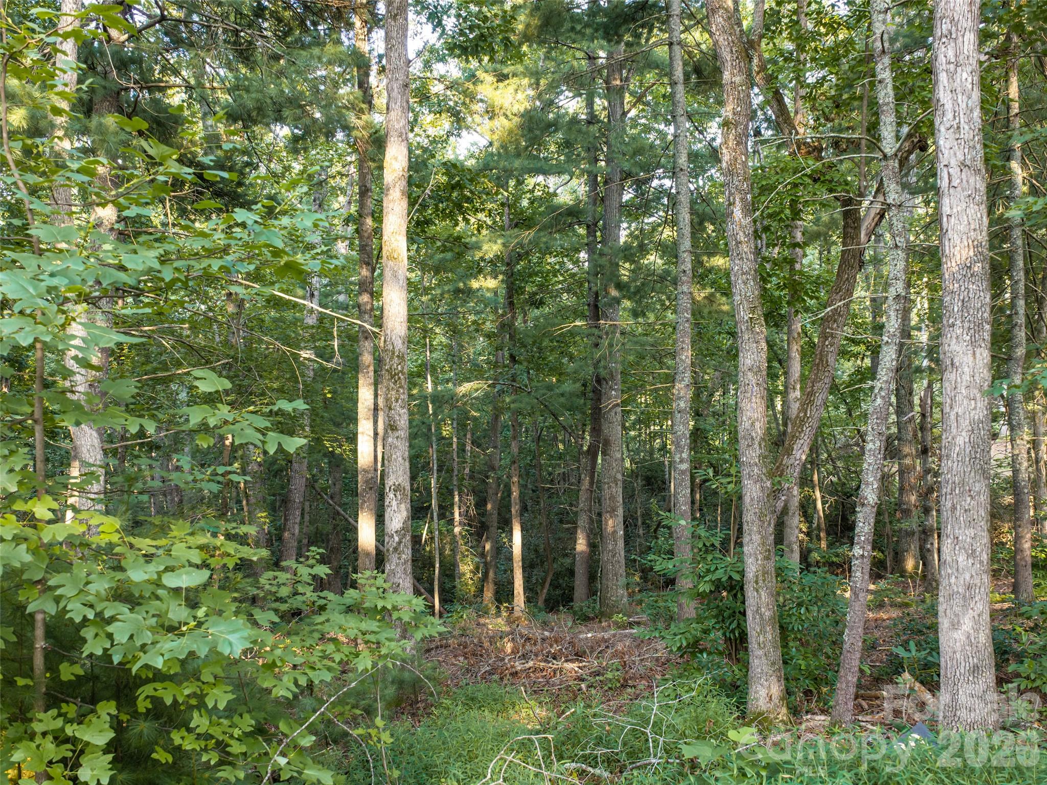 45 Jake Ridge Trail Fletcher, NC 28732 - Photo 10 of 18 Gallery Image 10