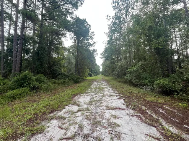 a view of backyard with green space