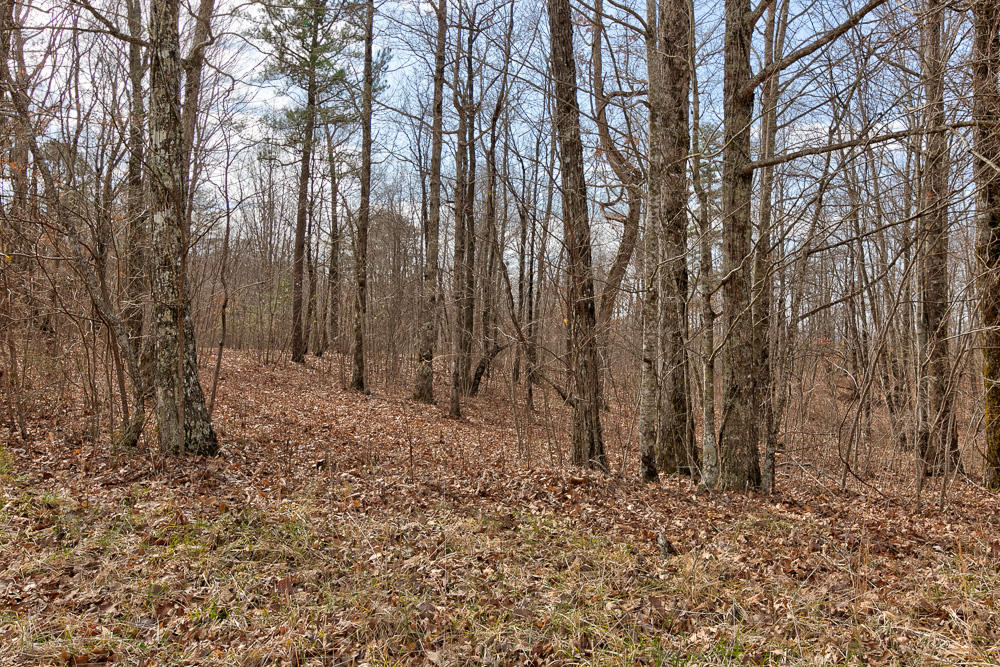 0 Hobbstown Road, Unit 3 Dunlap, TN 37327 - Photo 14 of 15 14